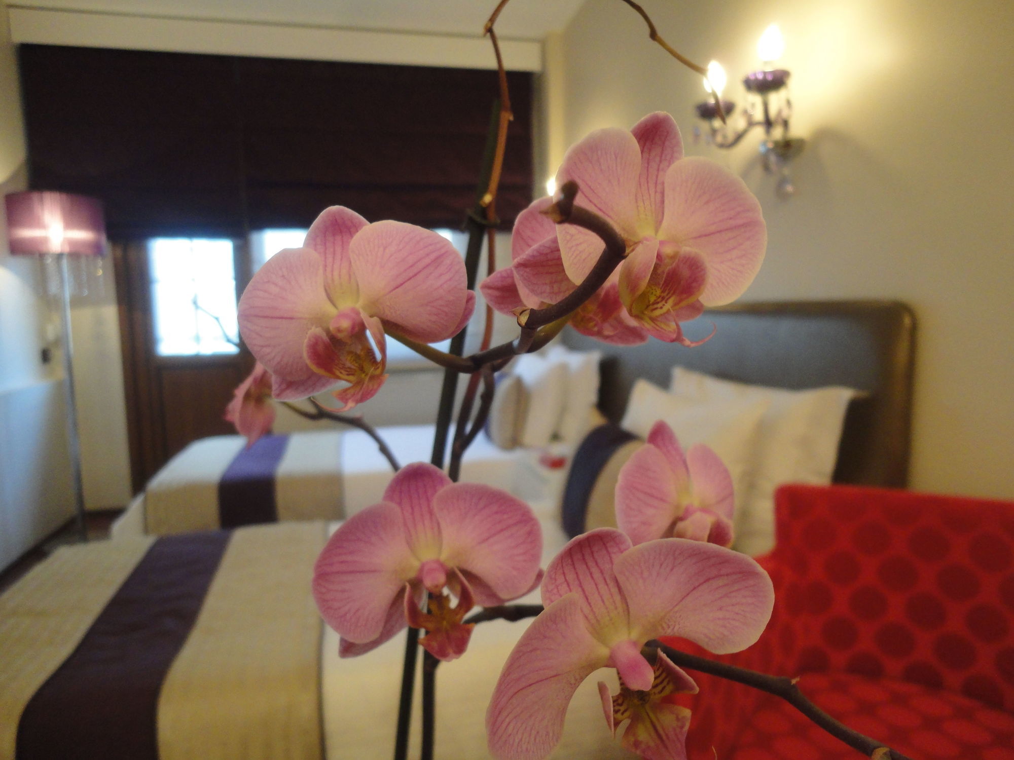 Bakirkoy Tashan Business & Airport Hotel Stambuł Zewnętrze zdjęcie