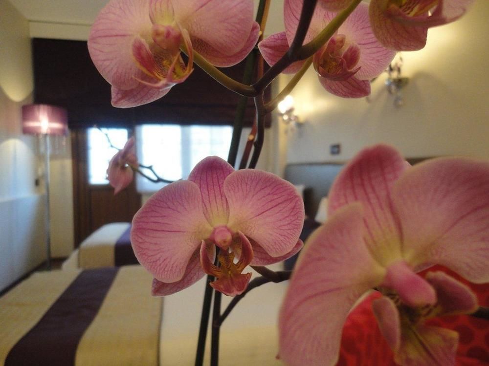 Bakirkoy Tashan Business & Airport Hotel Stambuł Zewnętrze zdjęcie